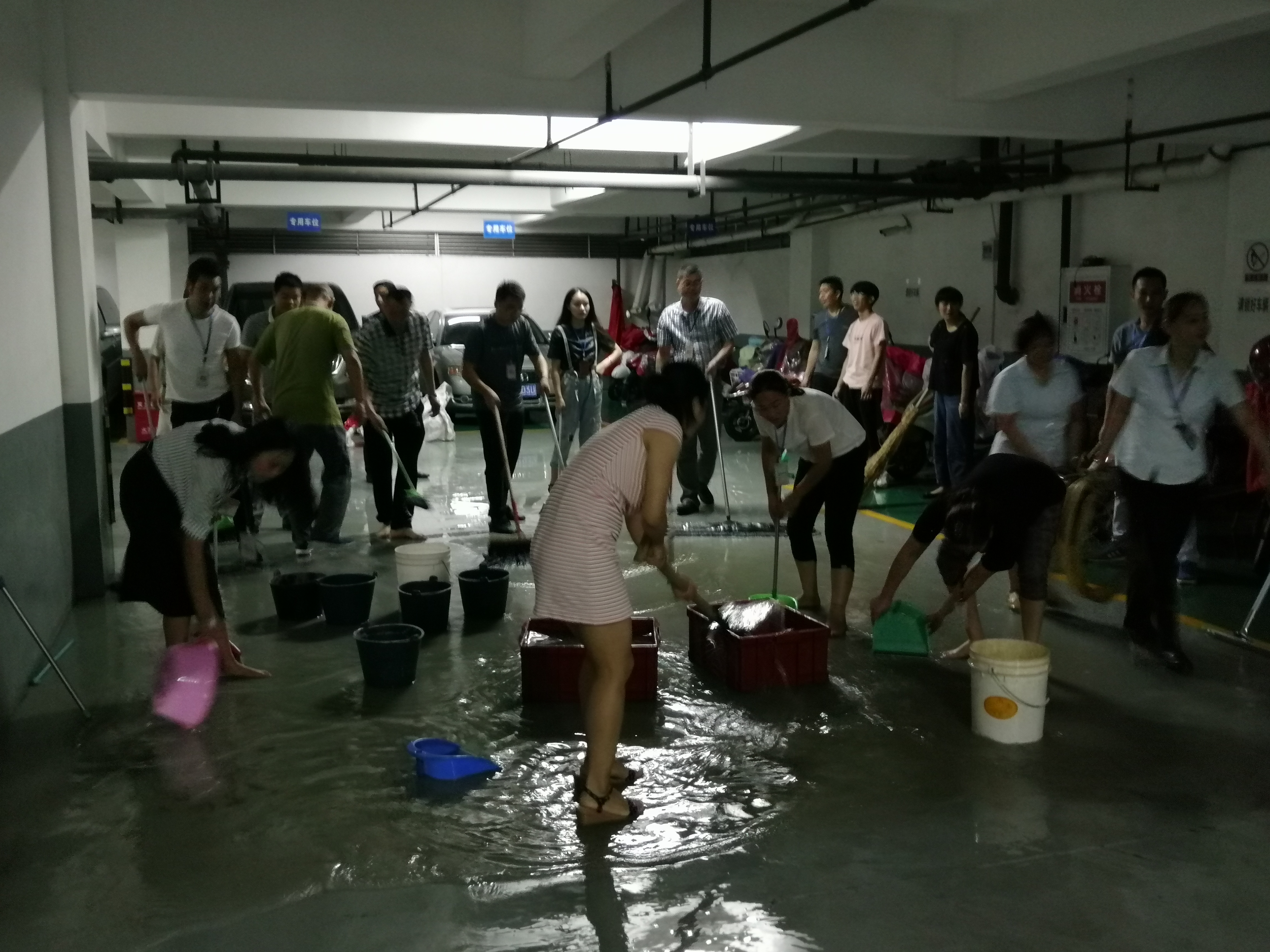 暴雨中的“绿色力量”——直击我集团干部和员工排水抢险